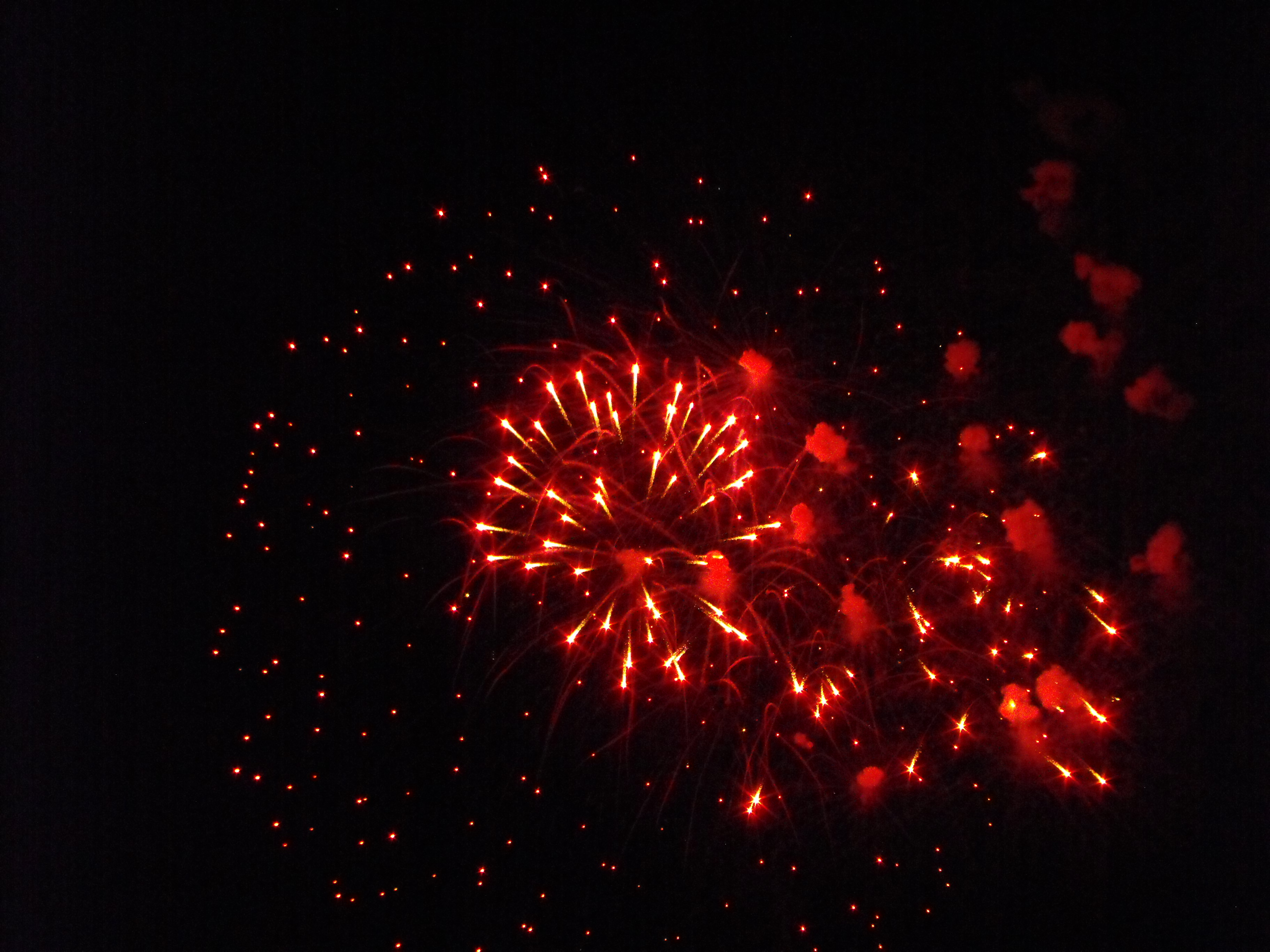 ./2010/Fourth of July/4th July Fireworks Wilm 0074.JPG